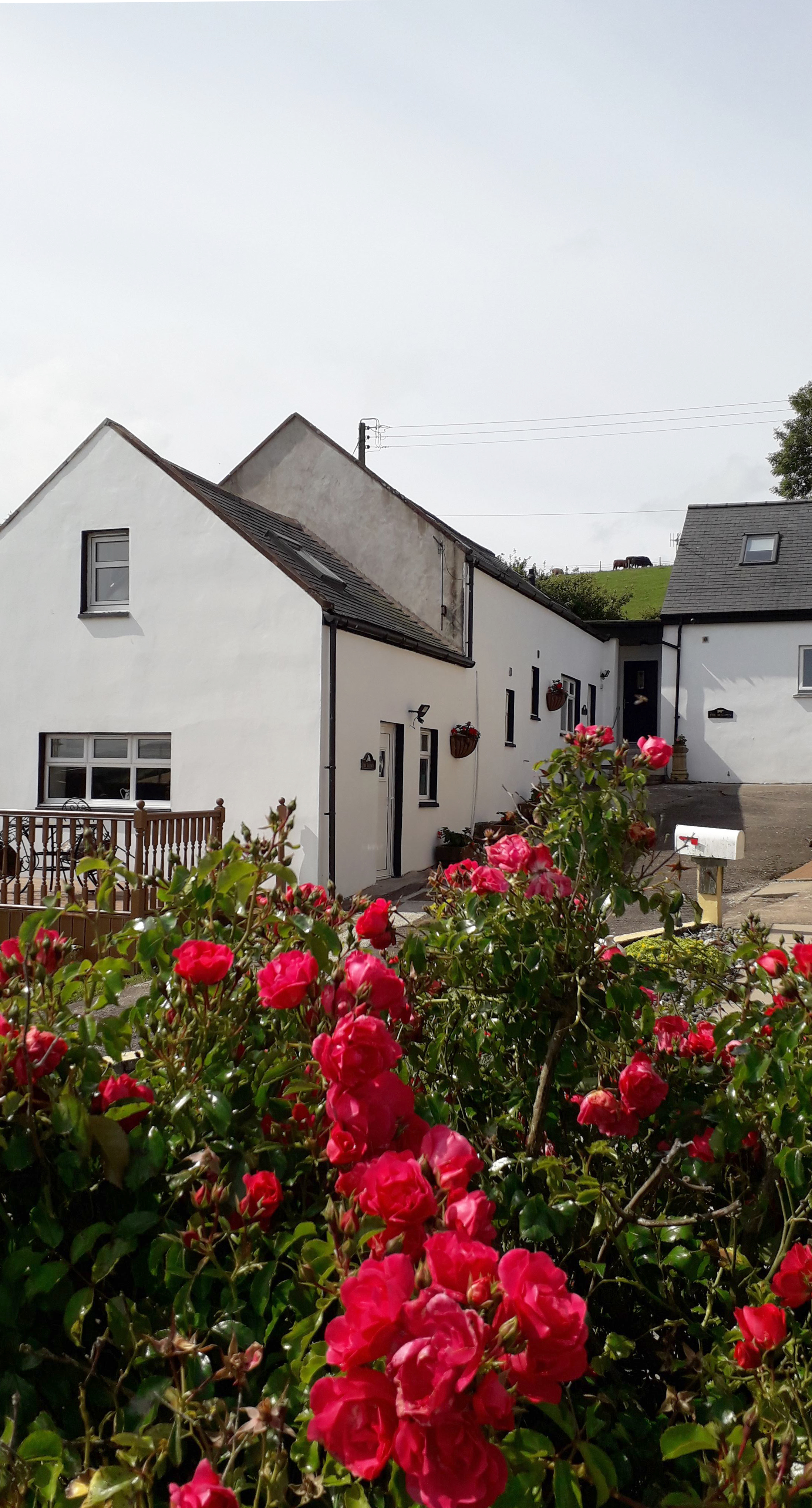 20200709 110029 Amended