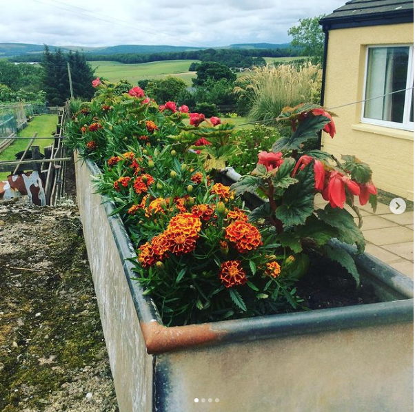 Screen Shot 2020 12 10 At 17.18.33