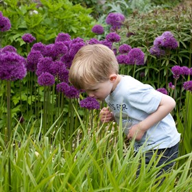 Culzean Fiona