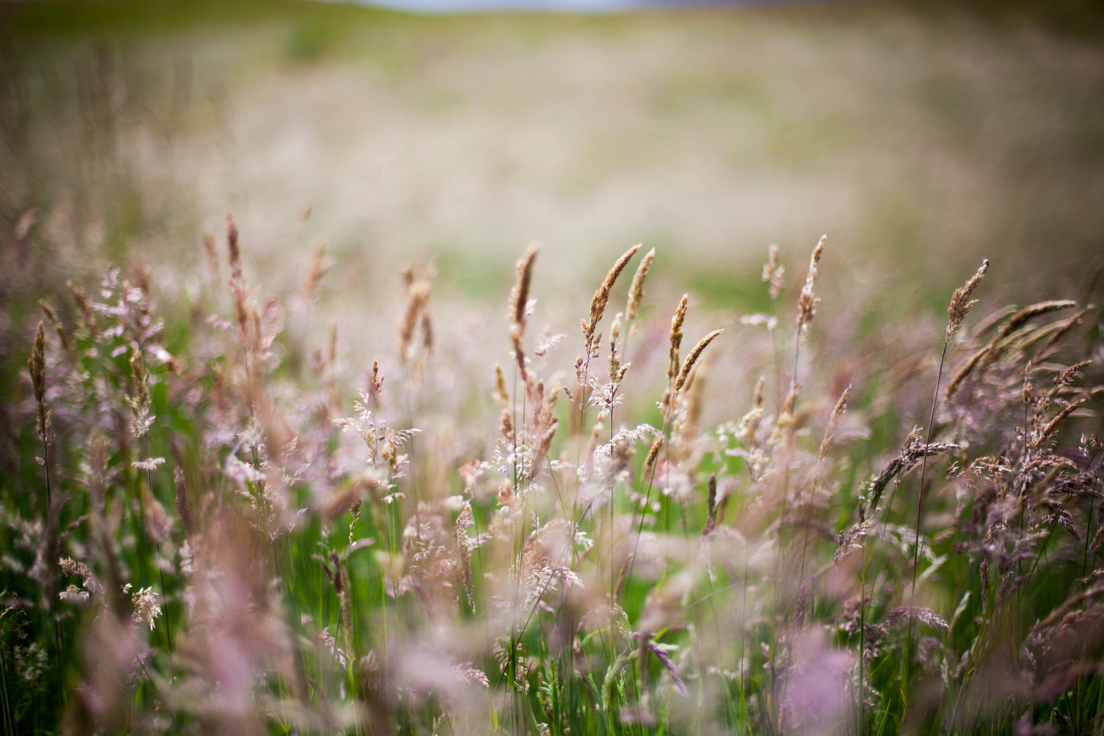 Shutterstock 1620180775