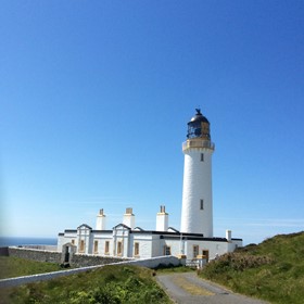 IMG 0499