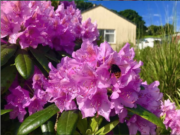 Screen Shot 2020 12 10 At 17.19.29