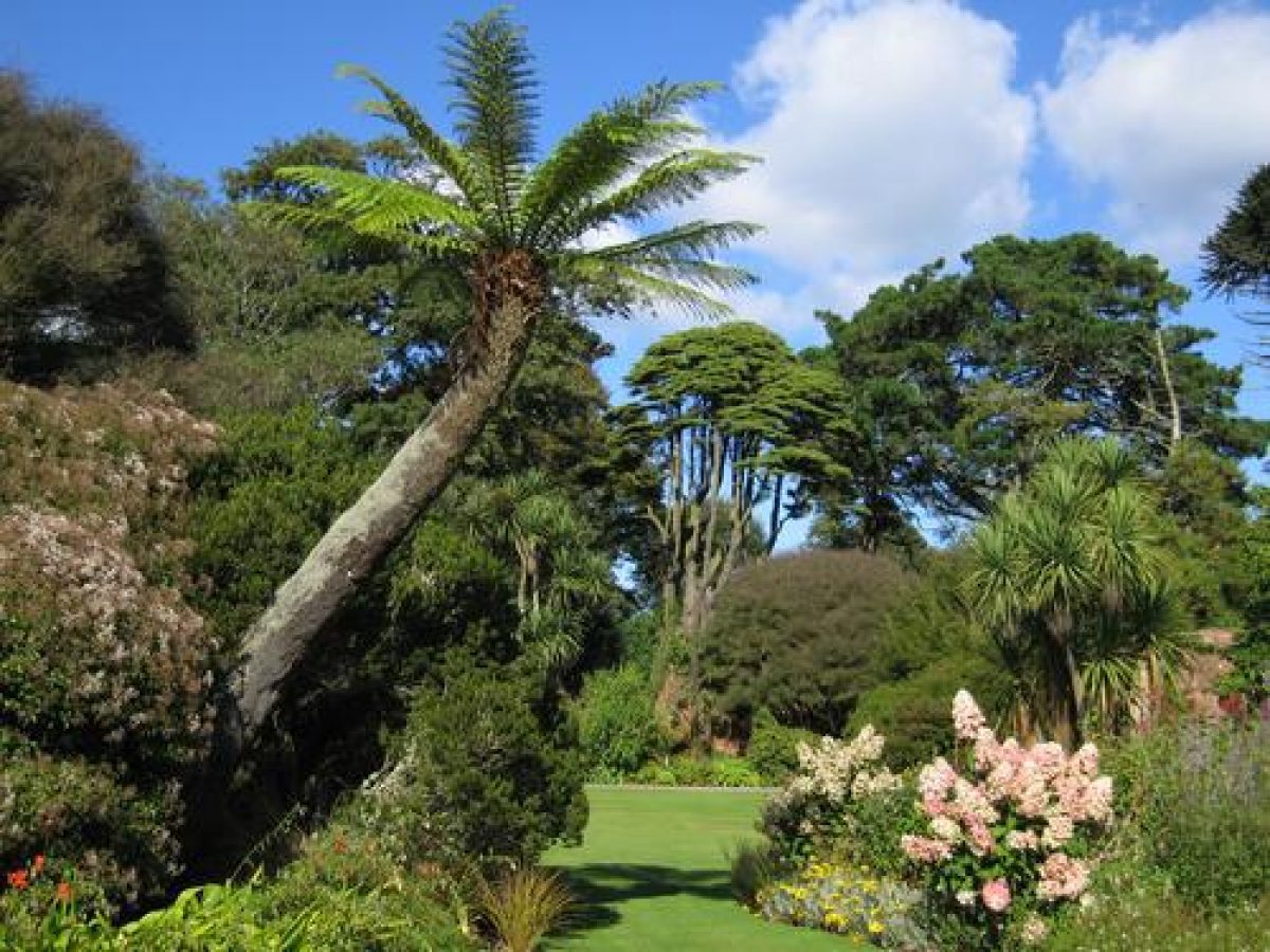 Logan Botanic Gardens (From Google)