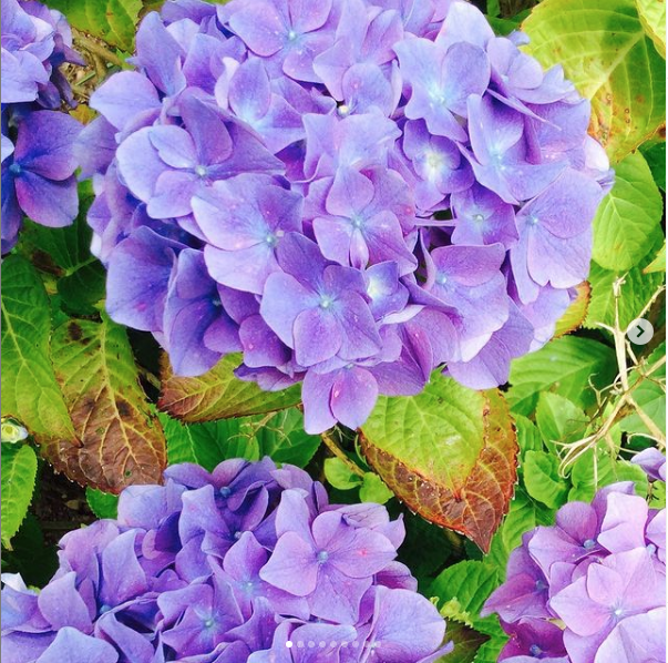 Screen Shot 2020 12 10 At 17.19.04